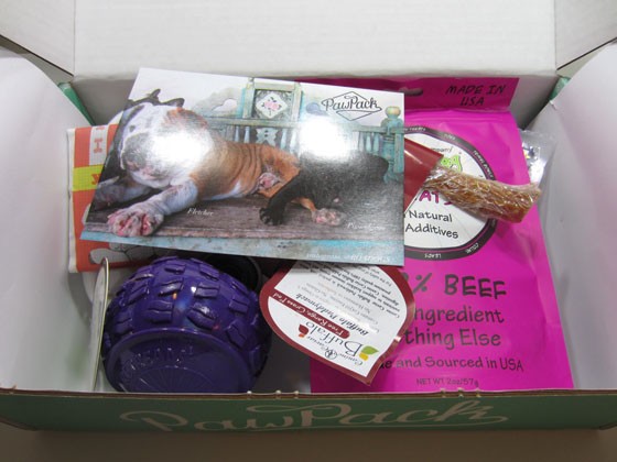 Paw Pack Subscription Box Review - April 2015 Inside