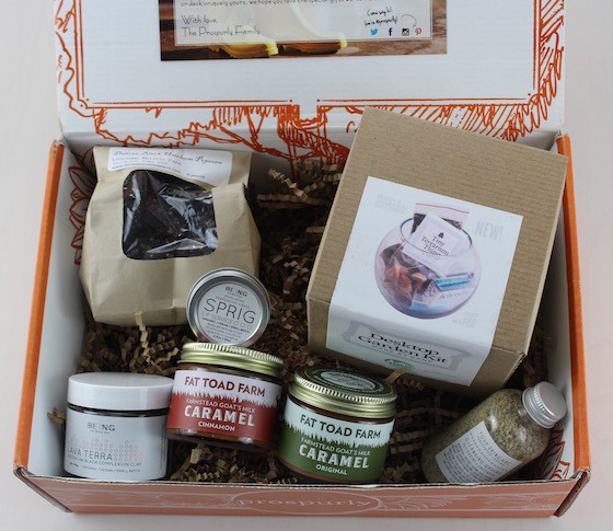 Prospurly Subscription Box Review – April 2015 Items