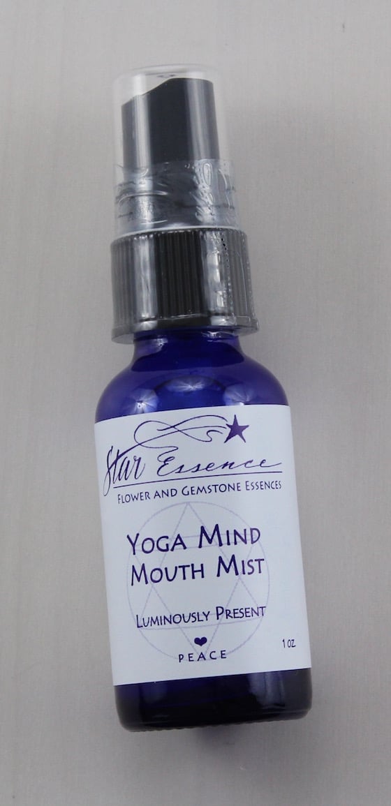 Yogi Surprise Subscription Box Review – May 2015 Mist