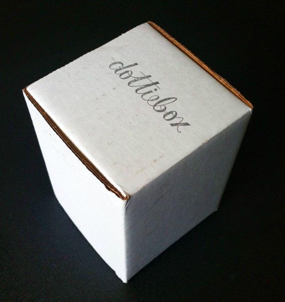 Dottie Box Mini Subscription Box Review – June 2015