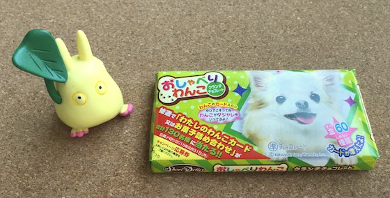 JapanCrate-June-2015-Dog