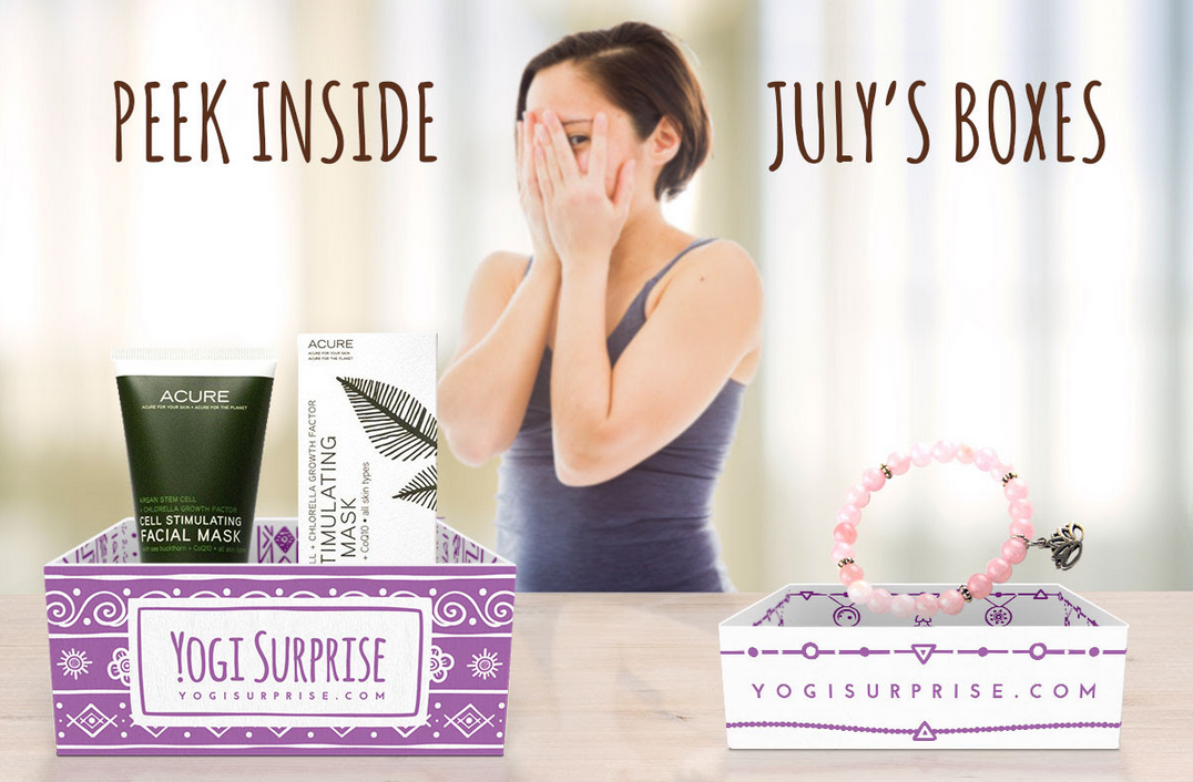 Yogi Surprise July 2015 Box Spoilers