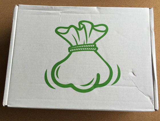 Snack Sack Subscription Box Review + Coupon - June 2015 - Box
