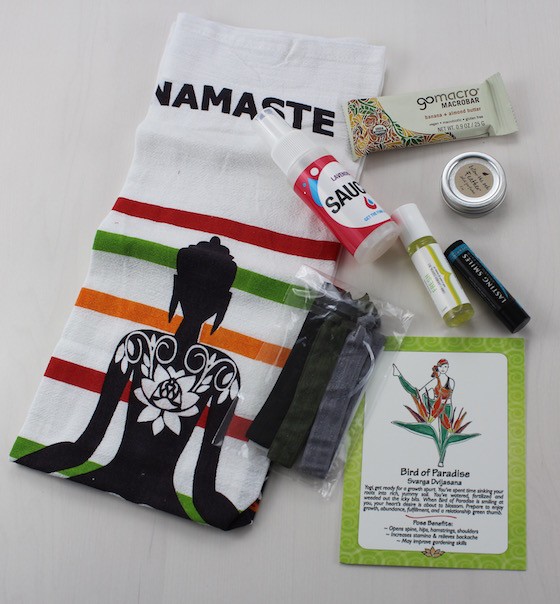 buddhibox-may-2015-items