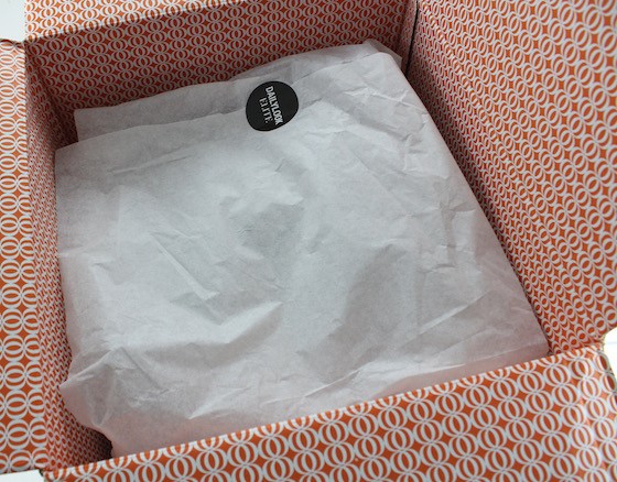 Daily Look Elite Stylist Subscription Review - June 2015 Box