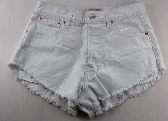 Daily Look Elite Stylist Subscription Review - June 2015 Shorts