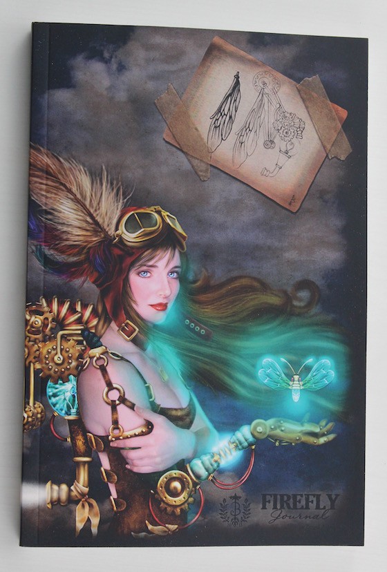 LitCube Book Subscription Box Review – June 2015 Journal