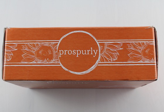 Prospurly Subscription Box Review – June 2015 Box