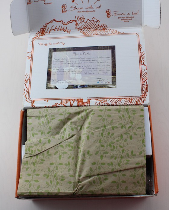 Prospurly Subscription Box Review – May 2015 First Look