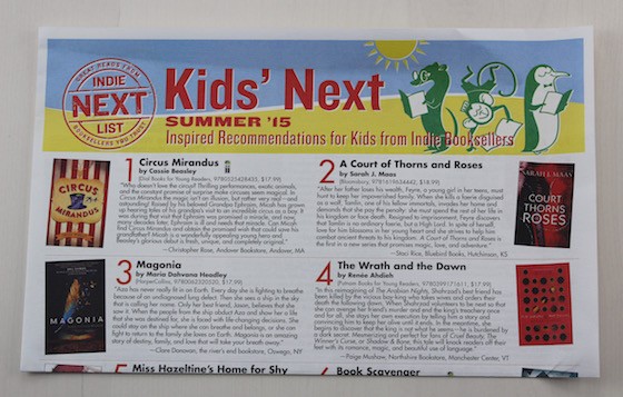 The Book Drop YA Subscription Box Review – June 2015 Flyer