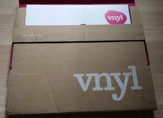 VYNL Subscription Box Review - June 2015 Box