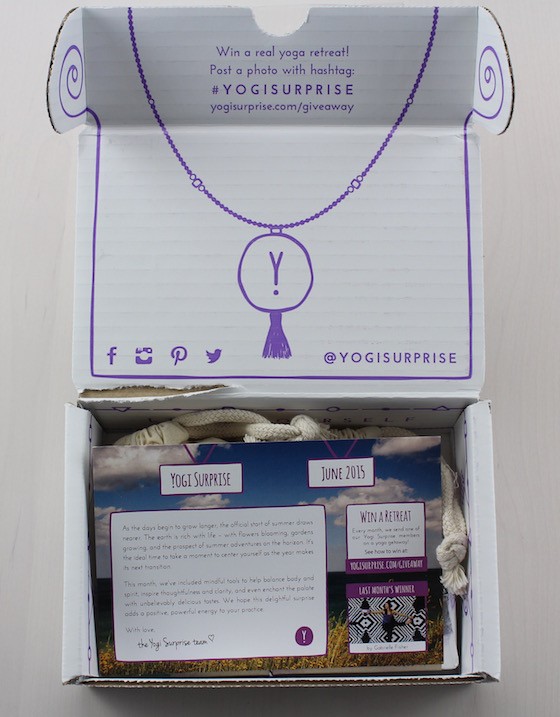 Yogi Surprise Jewelry Subscription Box Review – June 2015 Box