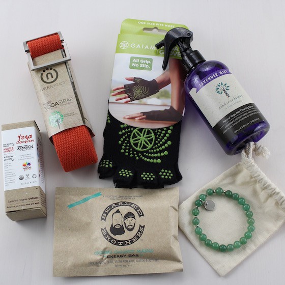 Yogi Surprise Subscription Box Review – June 2015 Items