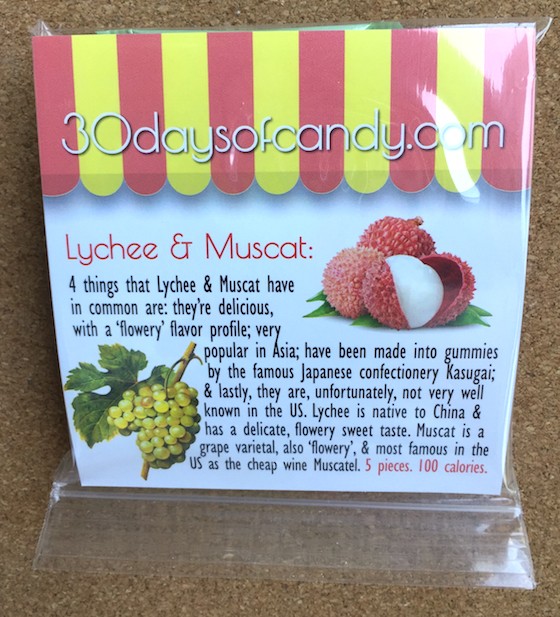 30 Days of Candy Subscription Box Review - July 2015 - Lychee1