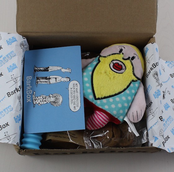 Here are all the items when first opening July's BarkBox