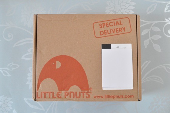 Little Pnuts Special Delivery Summer 2015 Subscription Box Review - 1