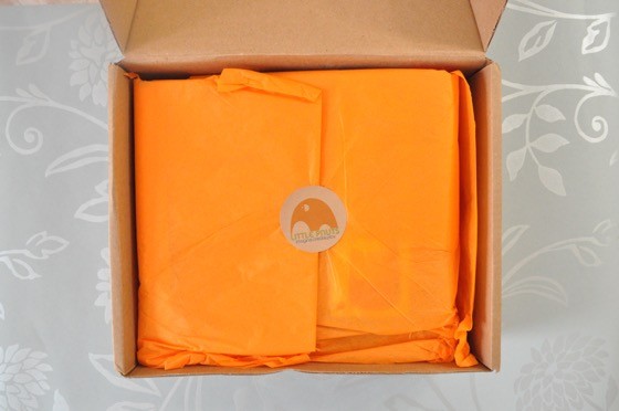 Little Pnuts Special Delivery Summer 2015 Subscription Box Review - 2