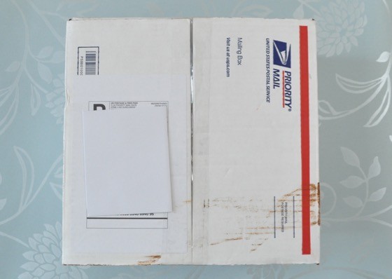 Relish Clothing Mystery Box Review - July 2015 - 1