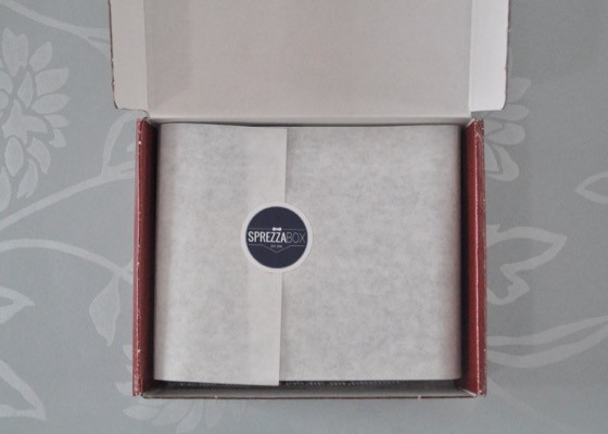 SprezzaBox Subscription Box Review – July 2015 - Box open