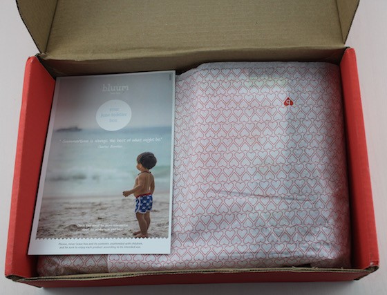 Bluum Subscription Box Review & Coupon – June 2015 First Look