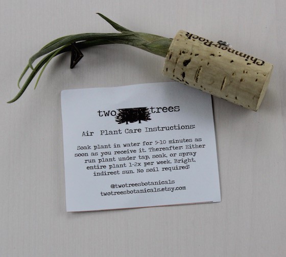 The Bookish Box Subscription Box Review – July 2015 Air Plant