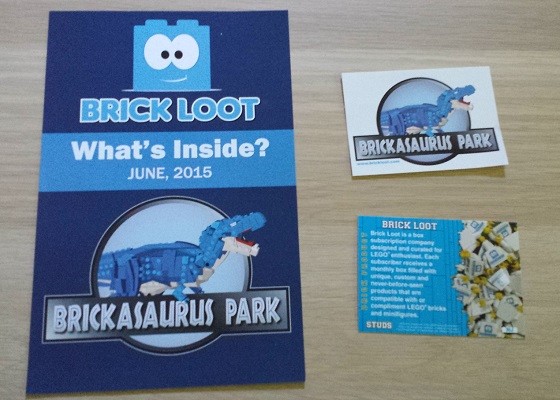 Brick Loot Subscription Box Review - June 2015-info