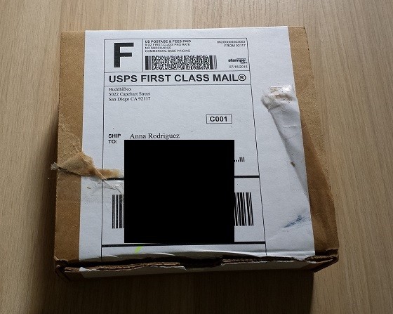 BuddhiBox Jewelry Subscription Box Review - July 2015 - box