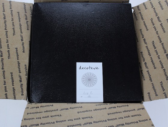 Decoterie Subscription Box Review - Summer 2015 Open