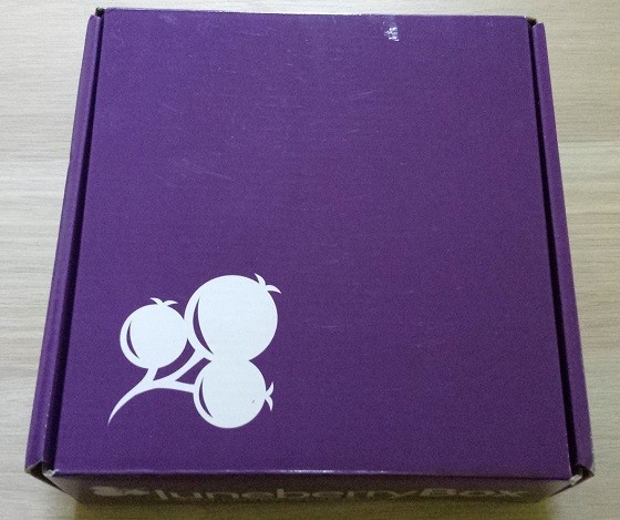 Juneberry Subscription Box Review - July 2015