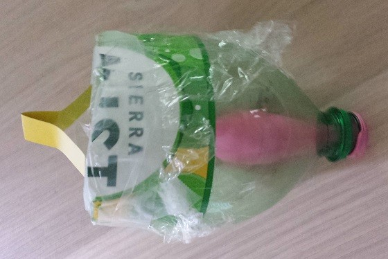 Magic School Bus Science Club Subscription Review – June 2015 - lung