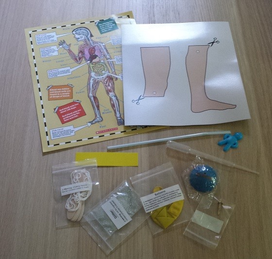 Magic School Bus Science Club Subscription Review – June 2015 - supplies
