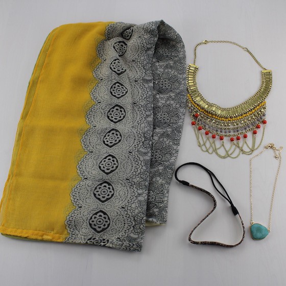 Wantable Accessories Subscription Box Review – June 2015 Items
