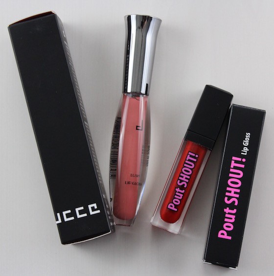 Wantable Makeup Subscription Box Review – June 2015 Lipgloss