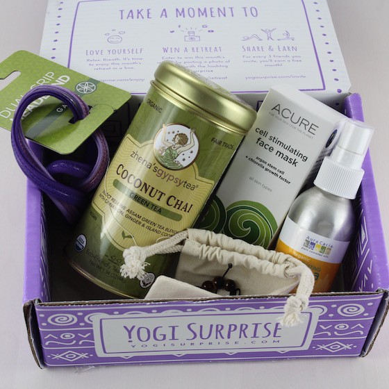 yogi-surprise-july-2015-items