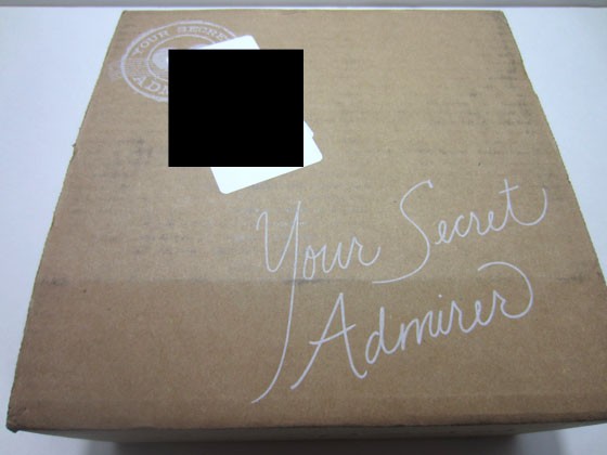 Your Secret Admirer Subscription Box Review - July 2015 - box