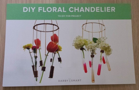 Darby Smart To DIY For Subscription Box Review – July 2015 - project