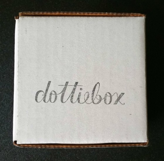 Dottie Box Mini Subscription Box Review – August 2015