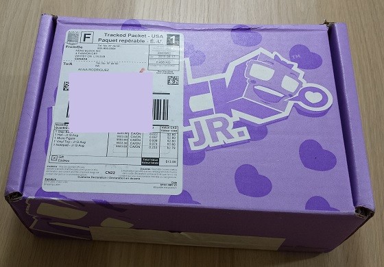 Nerd Block Junior Girls Subscription Box Review August 2015 - box