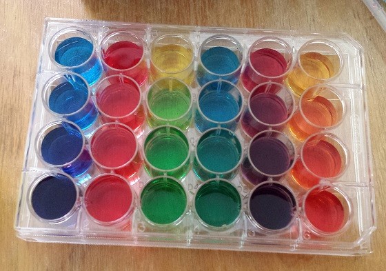 Spangler Science Club Subscription Box Review - July 2015 - colors