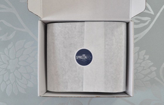 SprezzaBox Subscription Box Review – August 2015 - 2
