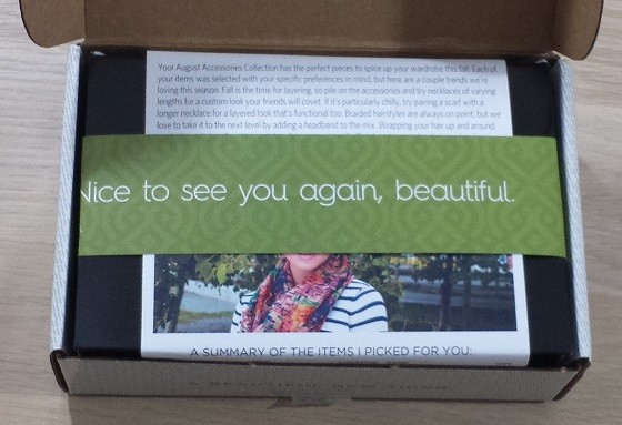 Wantable Accessories Subscription Box Review – August 2015 - inside