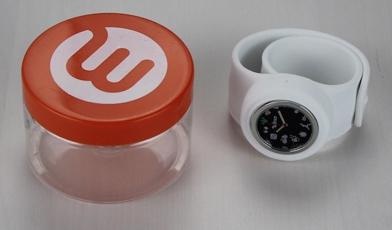 Check out my review of the Bianca Jade MizzFit Quarterly Subscription Box #MIZ08 Watch Container