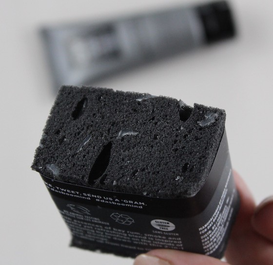 Birchbox Man Subscription Box Review – September 2015 Soap Sponge