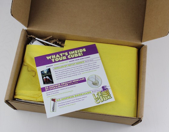 LitCube Book Subscription Box Review – August 2015 First Look