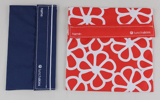 Mighty Fix Subscription Box Review – August 2015 Bags