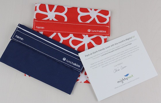 Mighty Fix Subscription Box Review – August 2015 Items