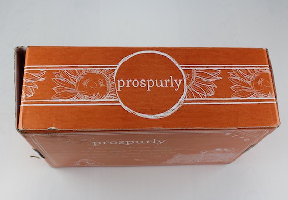 Prospurly Subscription Box Review – July 2015 Box