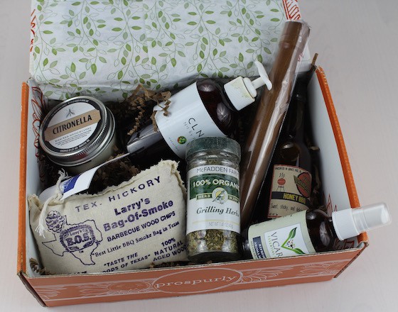 Prospurly Subscription Box Review – July 2015 Items