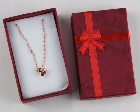 Uppercase YA Book Subscription Box Review – August 2015 Necklace