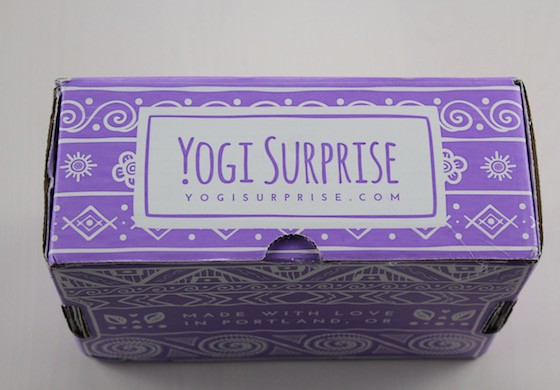 Yogi Surprise Subscription Box Review – August 2015 Box